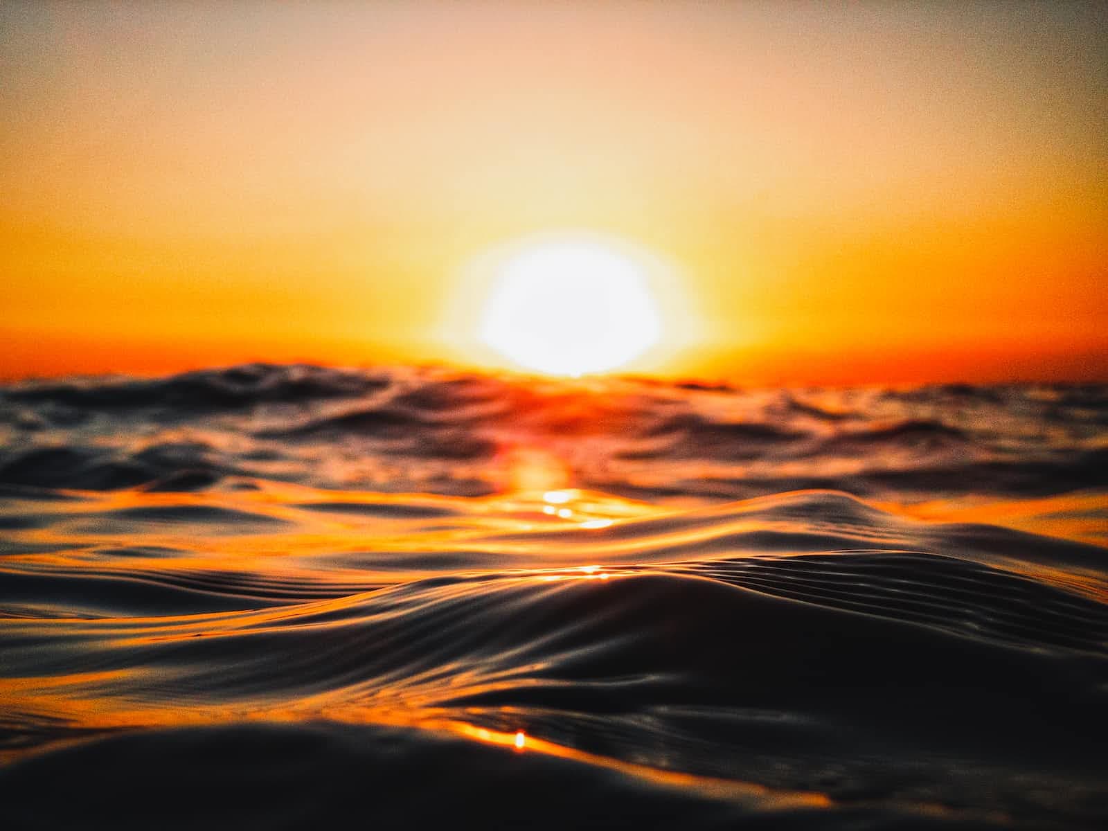 Navigating Safely with `Option` in Rust